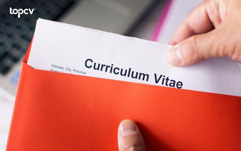 Kinh nghiệm làm việc chính là phần quan trọng nhất trong cách viết phần giới thiệu bản thân trong CV